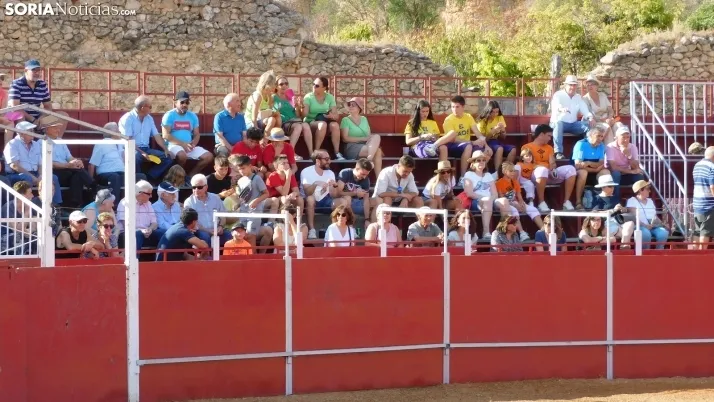 Fotos: desfile de pe&ntilde;as y novillos en el segundo d&iacute;a de fiestas en Berlanga