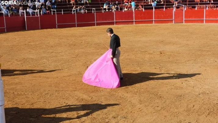 Fotos: desfile de pe&ntilde;as y novillos en el segundo d&iacute;a de fiestas en Berlanga