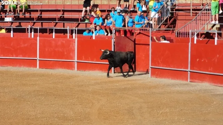 Fotos: desfile de pe&ntilde;as y novillos en el segundo d&iacute;a de fiestas en Berlanga