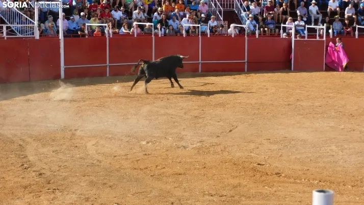 Fotos: desfile de pe&ntilde;as y novillos en el segundo d&iacute;a de fiestas en Berlanga