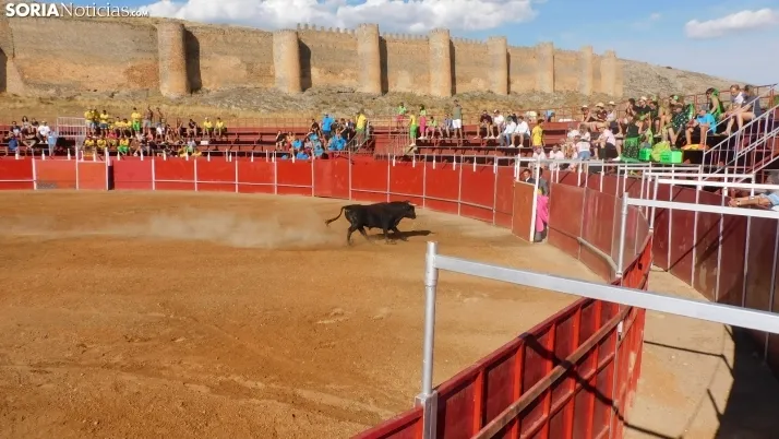 Fotos: desfile de pe&ntilde;as y novillos en el segundo d&iacute;a de fiestas en Berlanga