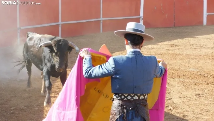 Fotos: desfile de pe&ntilde;as y novillos en el segundo d&iacute;a de fiestas en Berlanga