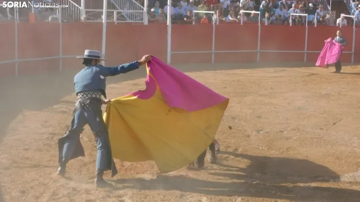 Fotos: desfile de pe&ntilde;as y novillos en el segundo d&iacute;a de fiestas en Berlanga