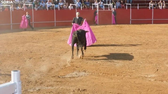 Fotos: desfile de pe&ntilde;as y novillos en el segundo d&iacute;a de fiestas en Berlanga