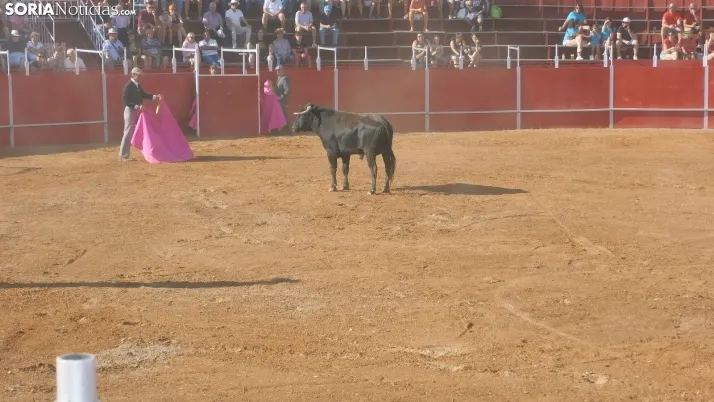 Fotos: desfile de pe&ntilde;as y novillos en el segundo d&iacute;a de fiestas en Berlanga