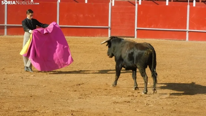 Fotos: desfile de pe&ntilde;as y novillos en el segundo d&iacute;a de fiestas en Berlanga