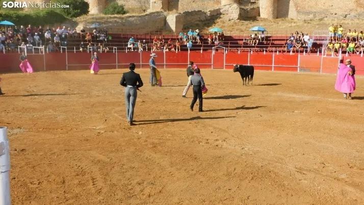 Fotos: desfile de pe&ntilde;as y novillos en el segundo d&iacute;a de fiestas en Berlanga