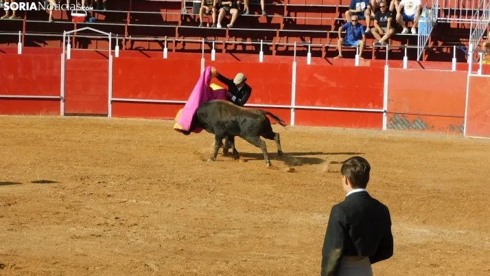 Fotos: desfile de pe&ntilde;as y novillos en el segundo d&iacute;a de fiestas en Berlanga