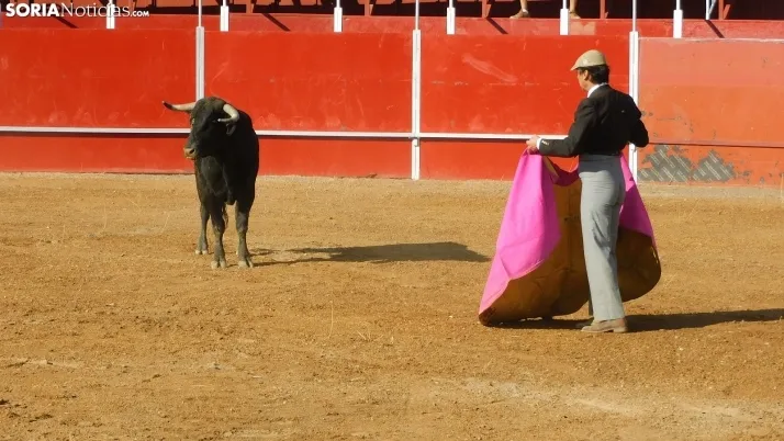 Fotos: desfile de pe&ntilde;as y novillos en el segundo d&iacute;a de fiestas en Berlanga