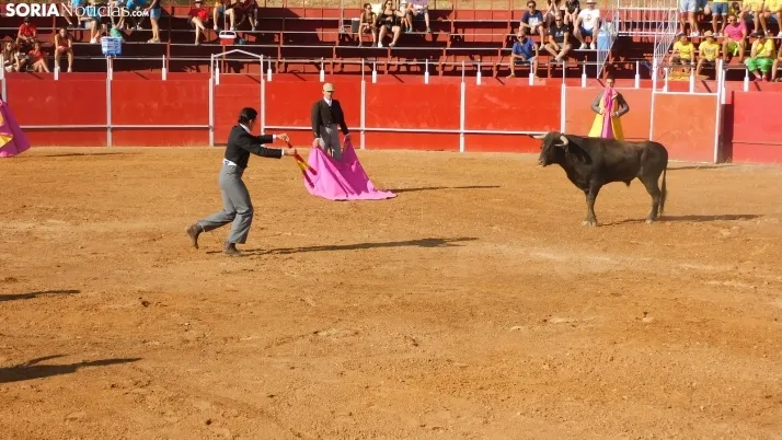 Fotos: desfile de pe&ntilde;as y novillos en el segundo d&iacute;a de fiestas en Berlanga
