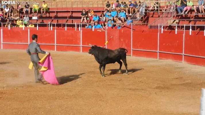 Fotos: desfile de pe&ntilde;as y novillos en el segundo d&iacute;a de fiestas en Berlanga
