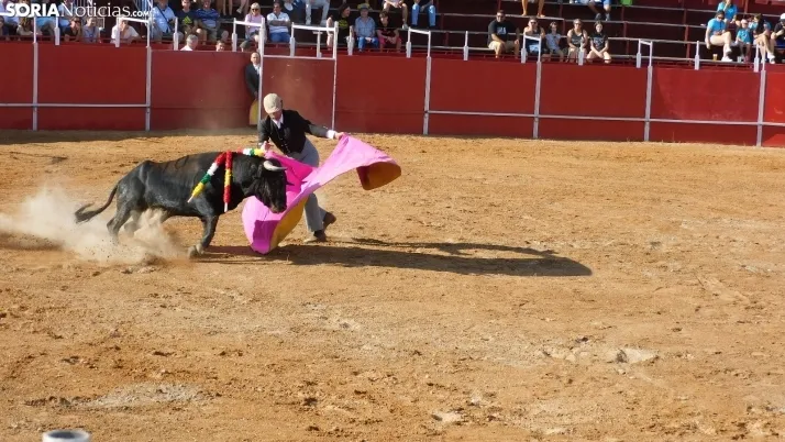 Fotos: desfile de pe&ntilde;as y novillos en el segundo d&iacute;a de fiestas en Berlanga