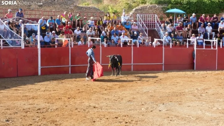 Fotos: desfile de pe&ntilde;as y novillos en el segundo d&iacute;a de fiestas en Berlanga