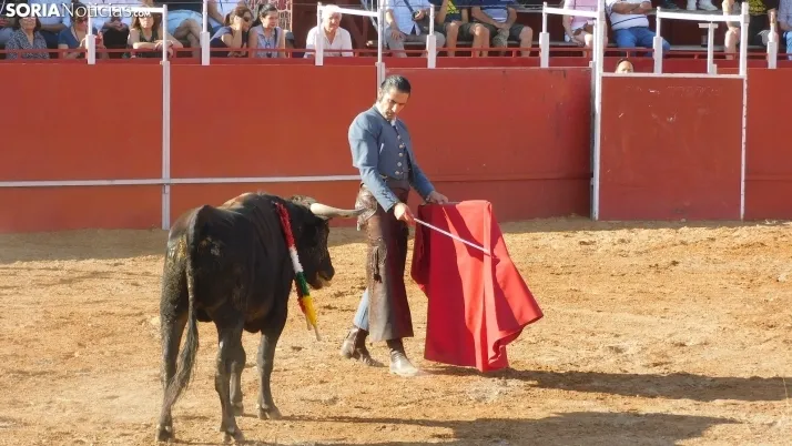 Fotos: desfile de pe&ntilde;as y novillos en el segundo d&iacute;a de fiestas en Berlanga