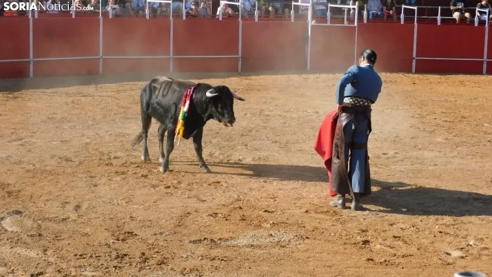 Fotos: desfile de pe&ntilde;as y novillos en el segundo d&iacute;a de fiestas en Berlanga