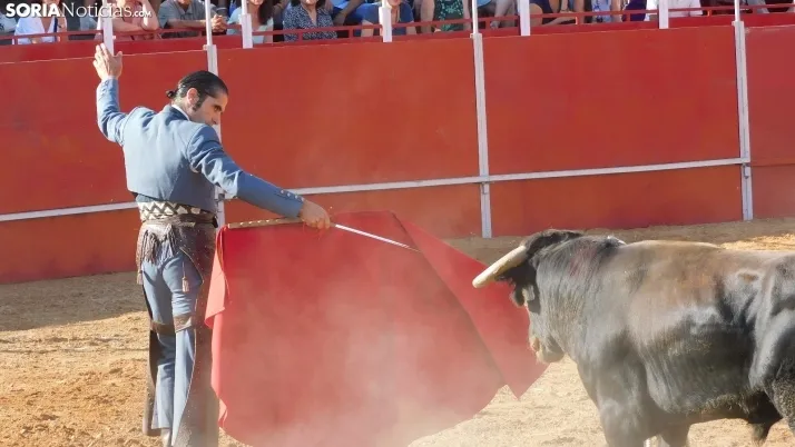 Fotos: desfile de pe&ntilde;as y novillos en el segundo d&iacute;a de fiestas en Berlanga