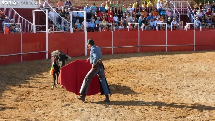 Fotos: desfile de pe&ntilde;as y novillos en el segundo d&iacute;a de fiestas en Berlanga