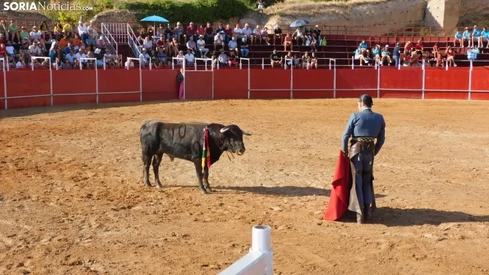 Fotos: desfile de pe&ntilde;as y novillos en el segundo d&iacute;a de fiestas en Berlanga