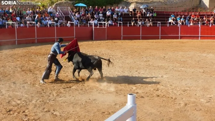 Fotos: desfile de pe&ntilde;as y novillos en el segundo d&iacute;a de fiestas en Berlanga