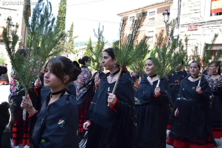 Pinochada de. Vinuesa 2022. /SN
