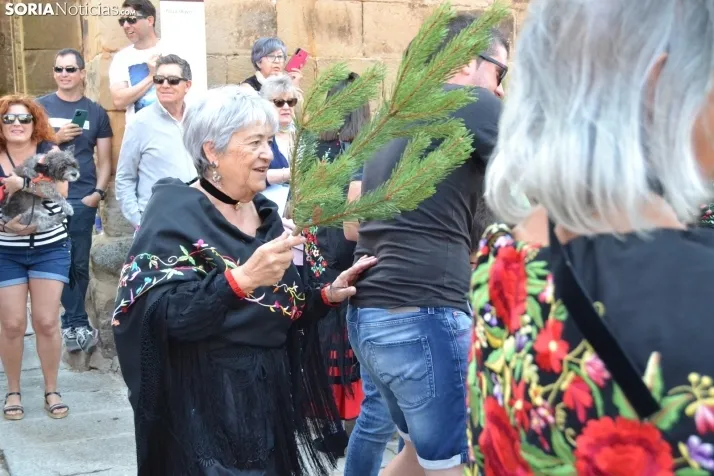 Pinochada de. Vinuesa 2022. /SN