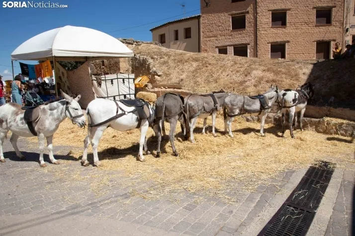 Mercado Medieval San Esteban de Gormaz
