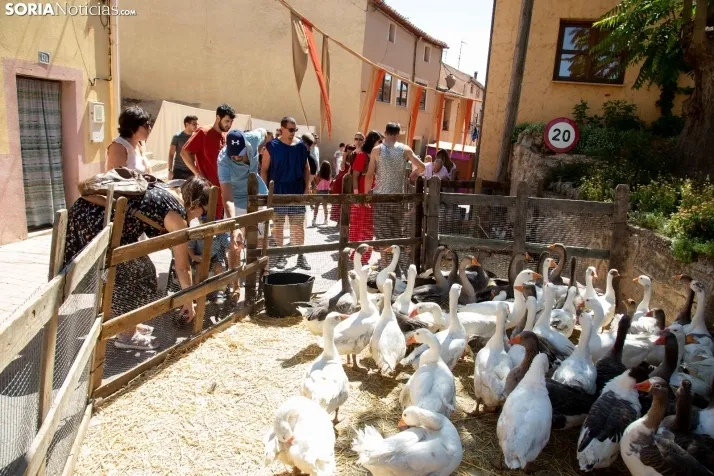 Mercado Medieval San Esteban de Gormaz