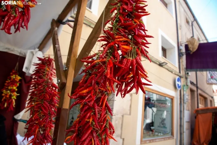 Mercado Medieval San Esteban de Gormaz