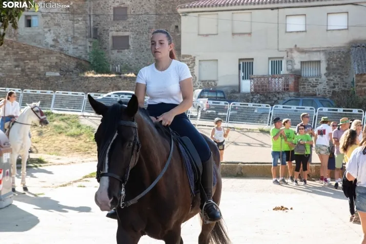 Trashumancia Gallinero 2022