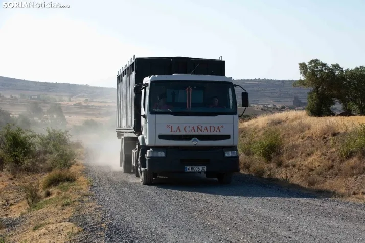 Trashumancia Gallinero 2022