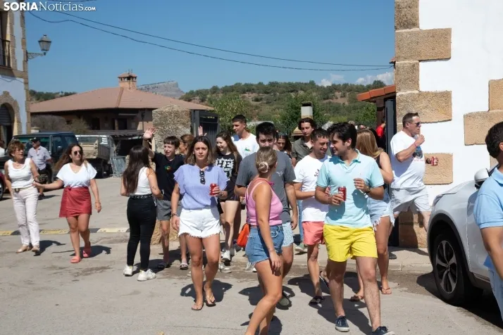 Gallofa en Golmayo