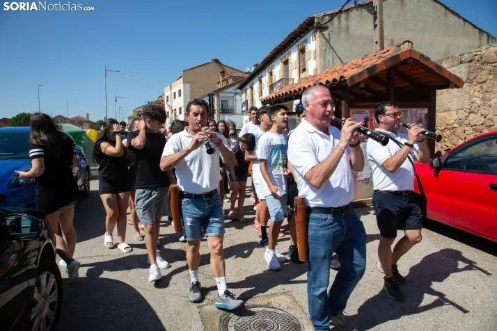 Gallofa en Golmayo