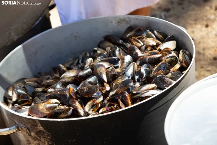 Comida Fiestas del Mejillón Cabrejas 2022