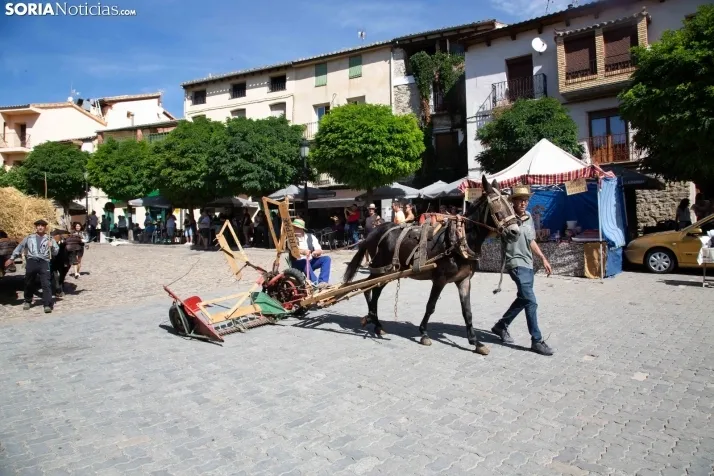 Mercado Tradicional San Pedro
