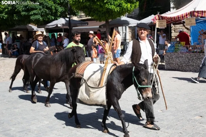 Mercado Tradicional San Pedro