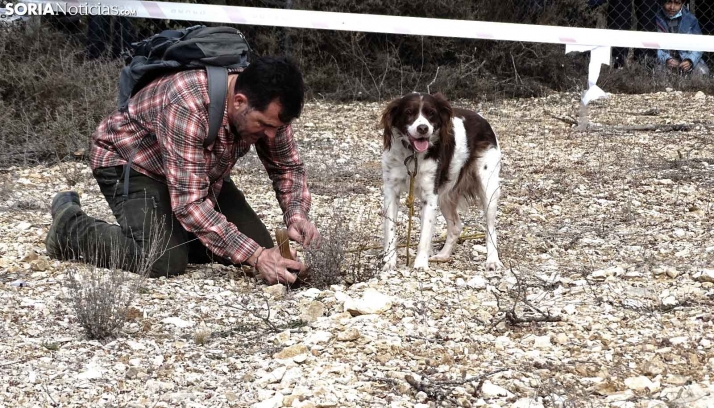 Convocadas las ayudas provinciales para el sector trufero por 50.000 euros