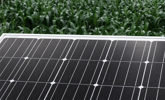 Dos millones de euros para actuaciones de eficiencia energética en explotaciones agropecuarias de Castilla y León