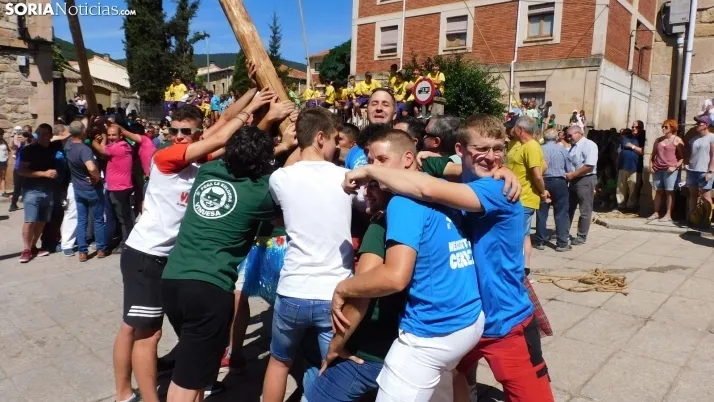 Pingada del Mayo en Vinuesa