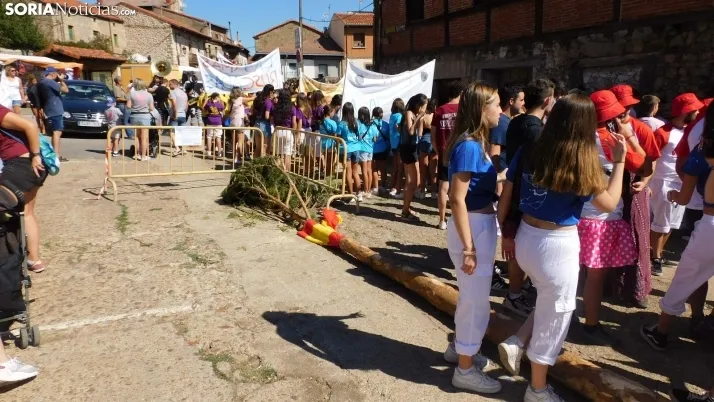 Pingada del Mayo en Vinuesa