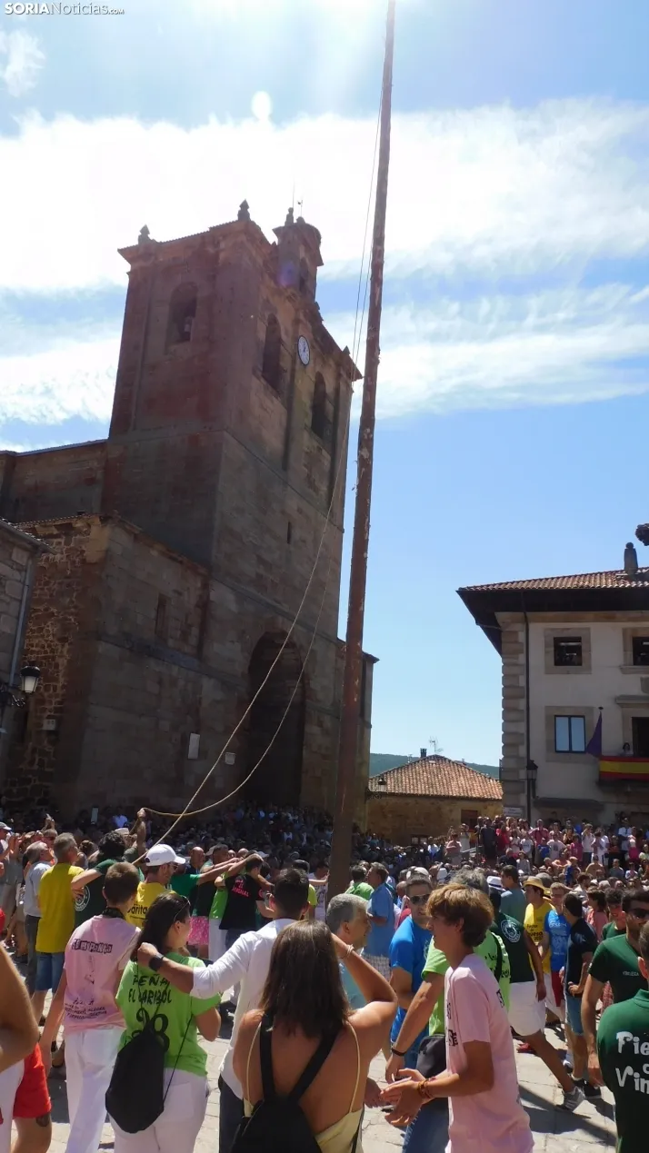 Pingada del Mayo en Vinuesa