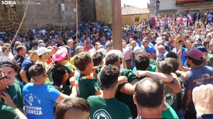 Pingada del Mayo en Vinuesa