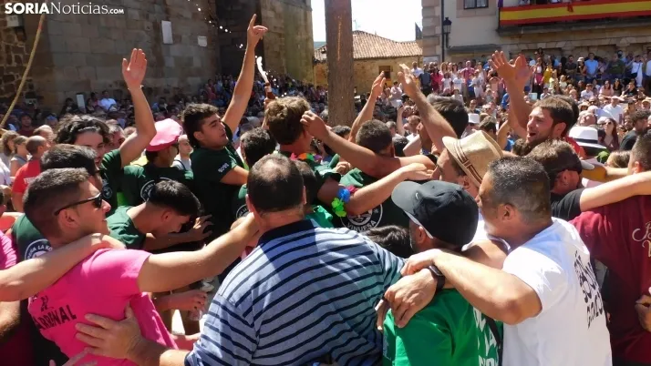 Pingada del Mayo en Vinuesa