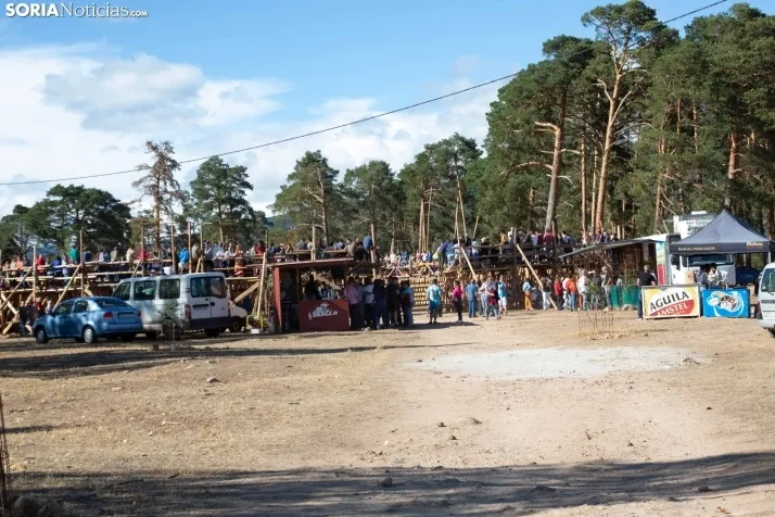 Becerrada en Vinuesa