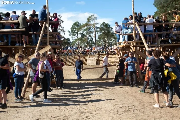 Becerrada en Vinuesa