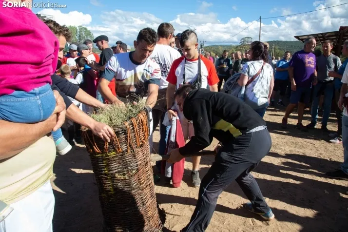 Becerrada en Vinuesa