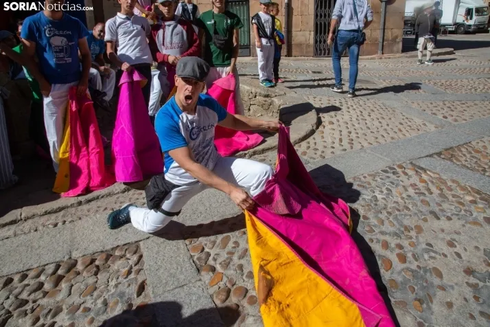 Becerrada en Vinuesa