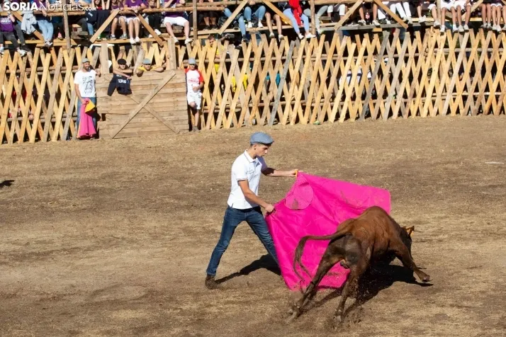 Becerrada en Vinuesa