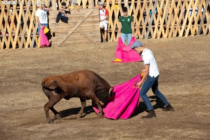 Becerrada en Vinuesa