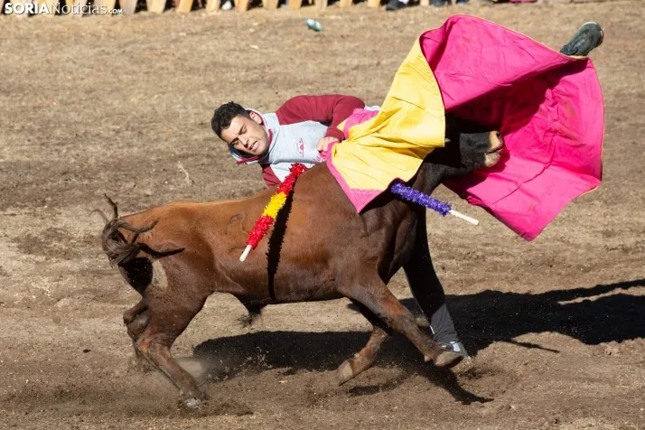 Becerrada en Vinuesa