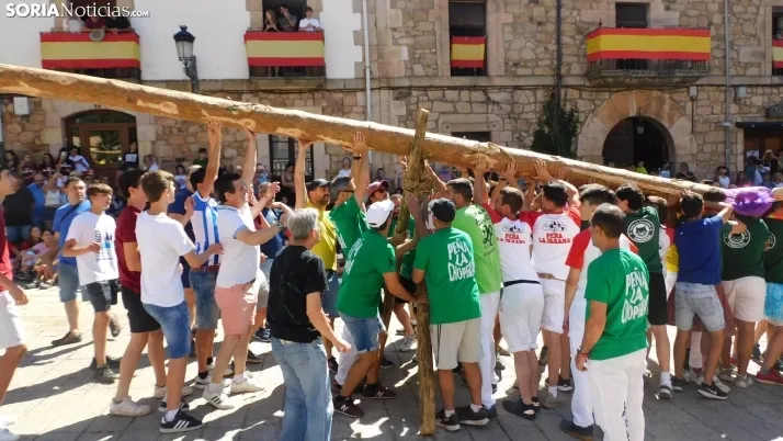 Pingada del Mayo en Vinuesa